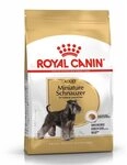 Royal Canin Miniature Schnauzer Adult 3 kg, 1er Pack (1 x 3 kg)