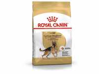 Royal Canin 35292 Breed Deutscher Schäferhund 3 kg- Hundefutter