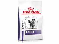 Royal Canin Expert DENTAL | 3 kg | Alleinfuttermittel für ausgewachsene Katzen 