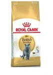 Royal Canin Feline British Shorthair, 1er Pack (1 x 10 kg Beutel) - Katzenfutter