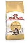 Royal Canin Maine Coon Adult | 2 kg | Trockenfutter f&uuml;r Katzen | Angepasst auf...