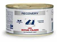 VHN Dog/Cat Wet Recovery 195gr (12uds)