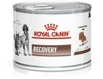 Royal Canin Vet Dog/Cat Recovery, 1er Pack (1 x 195 g)