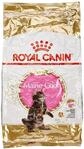 Royal Canin Katzenfutter Feline Kitten Maine Coon 36, 10 kg, 1er Pack (1 x 10...