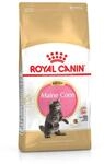 ROYAL CANIN Feline Kitten Maine Coon 36 | 400g K&auml;tzchenfutter