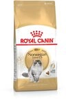 Royal Canin Katzenfutter Norwegische Waldkatze 10 kg, 1er Pack (1 x 10 kg) Royal Canin Katzenfutter Norwegische Waldkatze 10 kg, 1er Pack (1 x 10 kg)