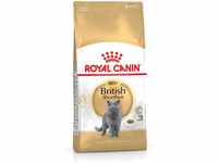 Royal Canin British Shorthair Adult Trockenfutter, 400 g
