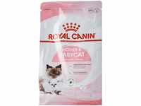 ROYAL CANIN MOTHER & BABYCAT | 400 g | Trockennahrung für Katzen | Speziell...