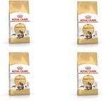 Royal Canin Maine Coon Adult | 4er Pack | 4 x 400 g | Alleinfuttermittel f&uuml;r Katzen