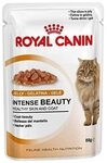 Royal Canin Intense Beauty in Jelly-Beuteln, 1 x 85 g
