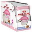 Royal Canin Feline Portionsbeutel Multipack Kitten Instinctive in Gelee 12x85g