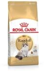 Royal Canin Katzenfutter Ragdoll 10 kg, 1er Pack (1 x 10 kg)