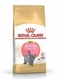 Royal Canin KITTEN British Shorthair Katzenfutter 2 kg, 1er Pack (1 x 2 kg)