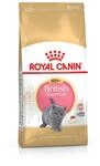 Royal Canin KITTEN British Shorthair Katzenfutter 10 kg, 1er Pack (1 x 10 kg)