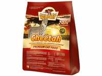 Wildcat Cheetah, 3 kg