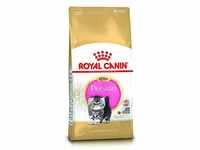 Royal Canin Katzenfutter Feline Kitten Persian 32, 2 kg, 1er Pack (1 x 2 kg)