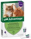 Advantage Spot On f&uuml;r Katzen & Kaninchen 80 mg (4-8 kg), 4 Pipetten