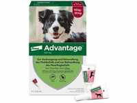 Elanco Advantage Spot-On 250 für mittelgroße Hunde von 10 bis 25 kg...