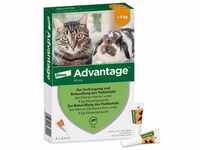 Elanco Advantage Spot-On 40 für kleine Katzen und Zierkaninchen bis 4 kg,...