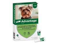 Elanco Advantage Spot-On 40 für sehr kleine Hunde bis 4 kg Körpergewicht,...