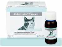 alfavet ReConvales Tonicum Katze, appetitanregendes Diät-Ergänzungsfuttermittel zur