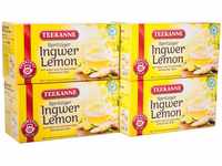Teekanne Ingwer Lemon, 4er Pack (4 x 20 Teebeutel), 4 x 35 g