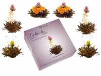 Creano 6 Teeblumen Erblühtee in edler Geschenkbox zum Probieren - Schwarztee (3