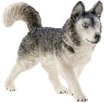SCHLEICH 16835 - Husky