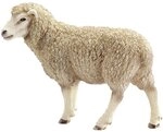 Schleich 13743 - Schaf