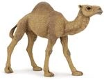 Papo -Handbemalt - Figuren -Wildtiere Der Welt-Dromedar-50151-Sammelbar-F&uuml;r Kinder -