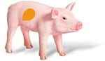 Ravensburger - 00352 &ndash; Figur &ndash; Tier &ndash; Ferkel