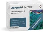 Adrenal Intercell (120 Kapseln) - Aktivstoff f&uuml;r die Nebennieren - mit...