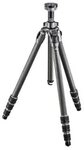Gitzo GT2543L Mountaineer Serie 2 Carbon Stativ