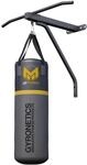 GYRONETICS&reg; Boxing Kit - Set mit Freistehender inkl. 21 kg Boxsack und Punchingball