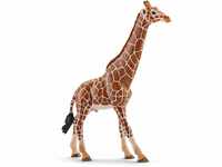 schleich 14749 Giraffenbulle, für Kinder ab 3+ Jahren, WILD LIFE - Spielfigur