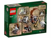 LEGO 79015 - The Hobbit Kampf mit dem Hexenkönig, Konstruktionsspielzeug
