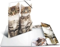 Herma 7138, Herma Zeichenmappe A4, Katzen (PP)