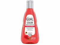 Guhl Color Schutz & Pflege Shampoo - Inhalt: 250 ml - Farbglanz - Haartyp: coloriert