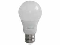 LightMe LM85149 LED EEK A+ (A++ - E) E27 Gluehlampenform 10W = 60W Warmweiß...