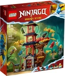 LEGO 71795, LEGO 71795 Tempel der Drachenpower NINJAGO