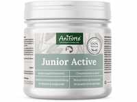 AniForte Junior Active für Welpen und Junge Hunde 250g - Für Knochen, Sehnen,