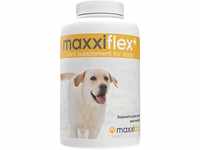 maxxiflex+ Gelenktabletten für Hunde – Teufelskralle, MSM, Glucosamin,