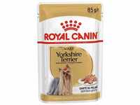 Royal Canin - Breed Health Nutrition Yorkshire Terrier Adult, 12x85g