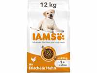 IAMS Hundefutter trocken mit Huhn - Trockenfutter für erwachsene Hunde ab 1 Jahr,
