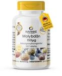 Molybd&auml;n 150&micro;g - 100 Tabletten - vegan - essentielles Spurenelement | Warnke