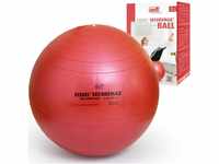Sissel® SECUREMAX® Gymnastikball rot | Maße 55 cm | Belastung bis 500 kg |...