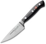 F. DICK Premier Plus Kochmesser (Klingenl&auml;nge 12 cm, Kochmesser, Universalmesser,