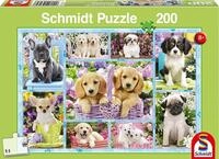 Schmidt Spiele 56162 Welpen, 200 Teile Kinderpuzzle, Bunt