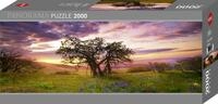 Heye 29472 - Panorama Puzzles 2000 Teile Oak Tree