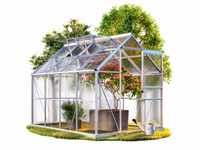 GARDEBRUK® Aluminium Gewächshaus 4,75m² 250x190cm inkl. 2 Dachfenster...